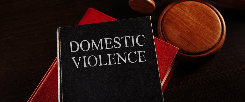 Lake Charles Domestic Violence Lawyer